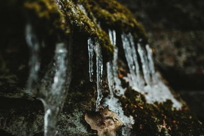 水溅在黑色岩石
